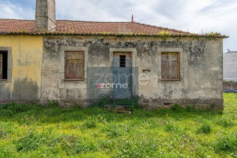 Terra a Areosa, Viana do Castelo, Areosa - € 750.000 | Ref: ZMPT581090 - foto 26