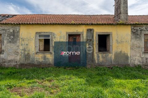 Terra a Areosa, Viana do Castelo, Areosa - € 750.000 | Ref: ZMPT581090 - foto 27