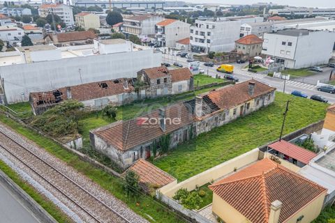 Terra a Areosa, Viana do Castelo, Areosa - € 750.000 | Ref: ZMPT581090 - foto 5