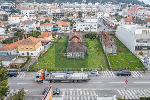 Terra a Areosa, Viana do Castelo, Areosa - € 750.000 | Ref: ZMPT581090 - foto 7