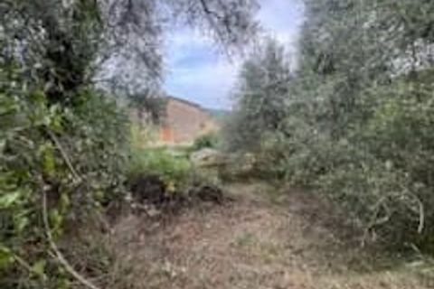 Terra a Bendejun, Alpes-Maritimes, Bendejun - € 77.000 | Ref: 86276142 - foto 3