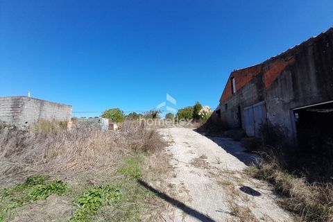 Villa i Soure, Coimbra, Soure - € 130.000 | Ref: 1639/AV - foto 3