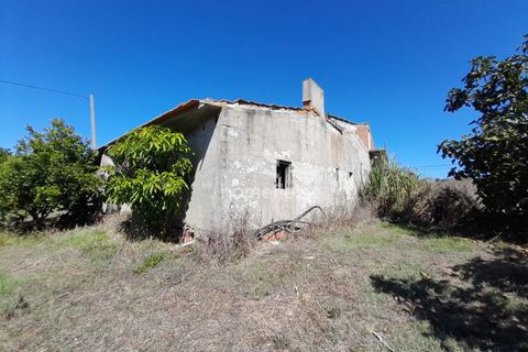 Villa i Soure, Coimbra, Soure - € 130.000 | Ref: 1639/AV - foto 4