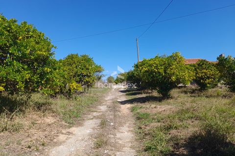 Villa i Soure, Coimbra, Soure - € 130.000 | Ref: 1639/AV - foto 8