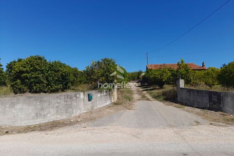 Villa i Soure, Coimbra, Soure - € 130.000 | Ref: 1639/AV - foto 9