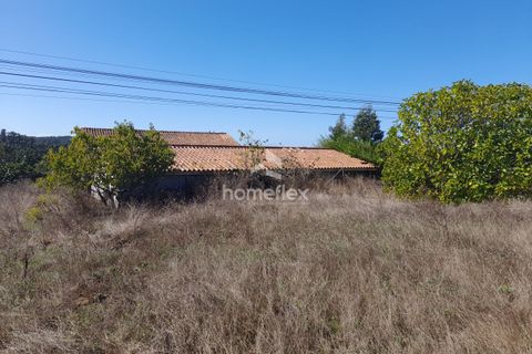 Villa i Soure, Coimbra, Soure - € 130.000 | Ref: 1639/AV - foto 24