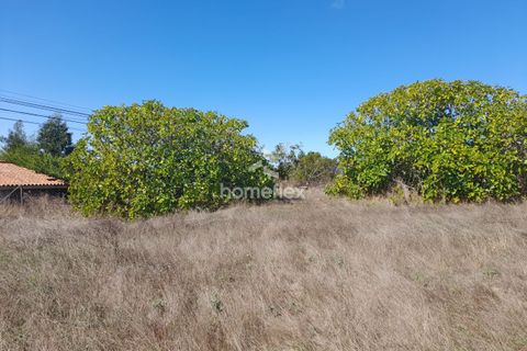 Villa i Soure, Coimbra, Soure - € 130.000 | Ref: 1639/AV - foto 25