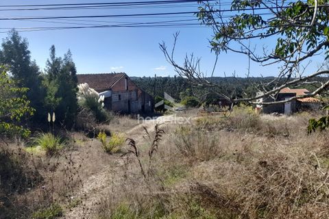 Villa i Soure, Coimbra, Soure - € 130.000 | Ref: 1639/AV - foto 26