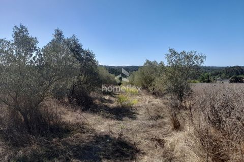 Villa i Soure, Coimbra, Soure - € 130.000 | Ref: 1639/AV - foto 27