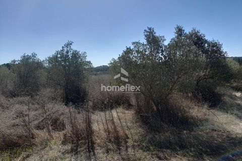 Villa i Soure, Coimbra, Soure - € 130.000 | Ref: 1639/AV - foto 28