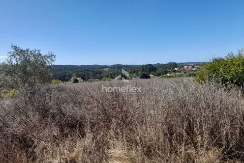 Villa i Soure, Coimbra, Soure - € 130.000 | Ref: 1639/AV - foto 29