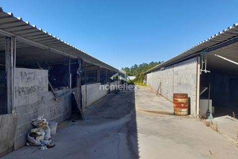 Villa i Soure, Coimbra, Soure - € 130.000 | Ref: 1639/AV - foto 30