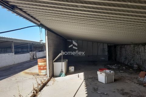 Villa i Soure, Coimbra, Soure - € 130.000 | Ref: 1639/AV - foto 31