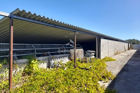 Villa i Soure, Coimbra, Soure - € 130.000 | Ref: 1639/AV - foto 32