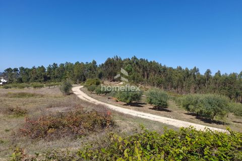 Villa i Soure, Coimbra, Soure - € 130.000 | Ref: 1639/AV - foto 33