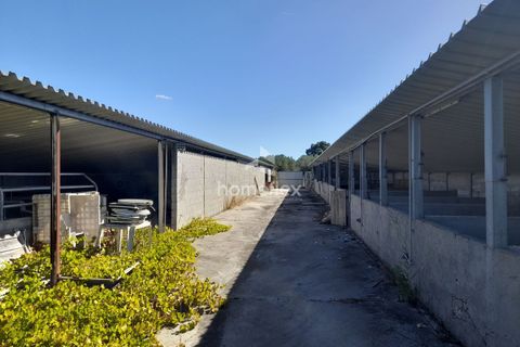 Villa i Soure, Coimbra, Soure - € 130.000 | Ref: 1639/AV - foto 35
