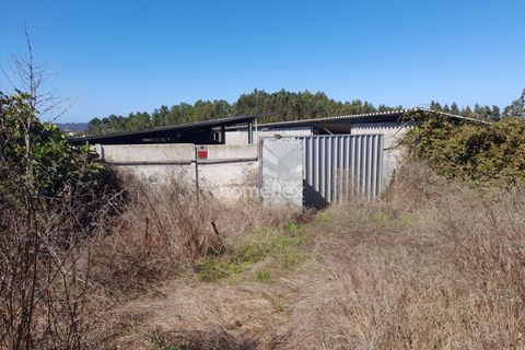 Villa i Soure, Coimbra, Soure - € 130.000 | Ref: 1639/AV - foto 37