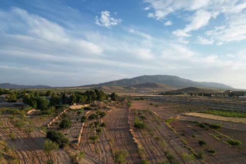 Helårsgrund i Pinoso, Alicante, Pinoso - € 49.500 | Ref: IZI-11674 - foto 1
