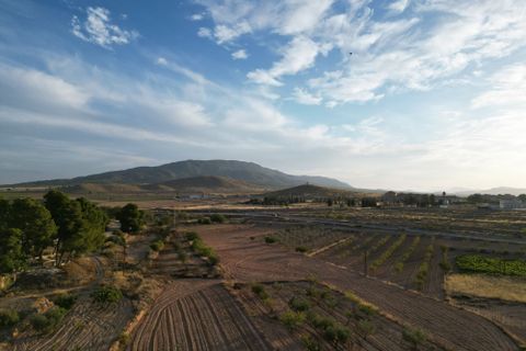 Helårsgrund i Pinoso, Alicante, Pinoso - € 49.500 | Ref: IZI-11674 - foto 2