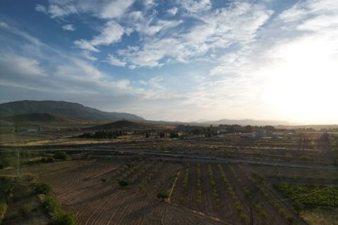 Helårsgrund i Pinoso, Alicante, Pinoso - € 49.500 | Ref: IZI-11674 - foto 3
