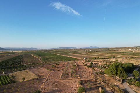 Helårsgrund i Pinoso, Alicante, Pinoso - € 49.500 | Ref: IZI-11674 - foto 4