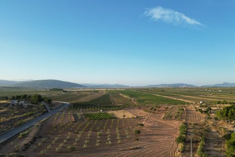 Helårsgrund i Pinoso, Alicante, Pinoso - € 49.500 | Ref: IZI-11674 - foto 5