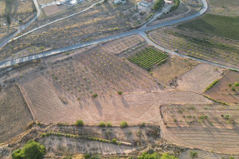 Helårsgrund i Pinoso, Alicante, Pinoso - € 49.500 | Ref: IZI-11674 - foto 8