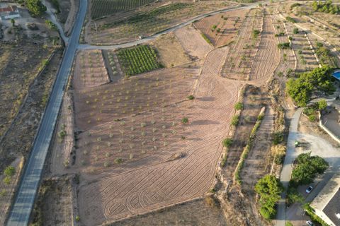 Helårsgrund i Pinoso, Alicante, Pinoso - € 49.500 | Ref: IZI-11674 - foto 9