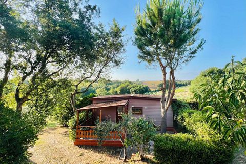 Farm hus i Bibbona, Livorno, Bibbona - € 1.850.000 | Ref: C-476-600978 - foto 14