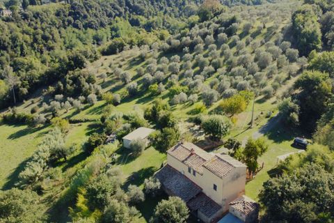 Farm hus i Volterra, Pisa, Volterra - € 760.000 | Ref: C-475-600995 - foto 4