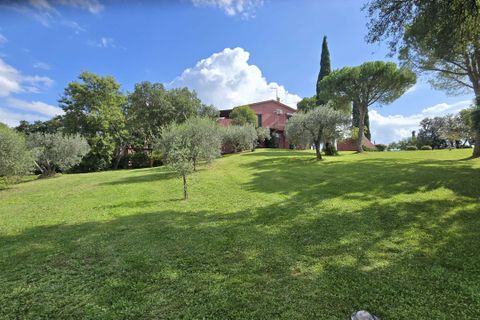 Farm hus i Bibbona, Livorno, Bibbona - € 1.850.000 | Ref: C-476-601031 - foto 3
