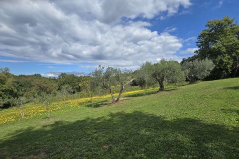 Farm hus i Bibbona, Livorno, Bibbona - € 1.850.000 | Ref: C-476-601031 - foto 4