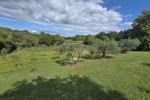 Farm hus i Bibbona, Livorno, Bibbona - € 1.850.000 | Ref: C-476-601031 - foto 5