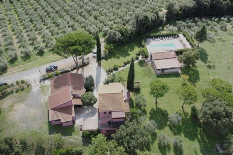 Farm hus i Bibbona, Livorno, Bibbona - € 1.850.000 | Ref: C-476-601031 - foto 7