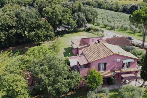 Farm hus i Bibbona, Livorno, Bibbona - € 1.850.000 | Ref: C-476-601031 - foto 8