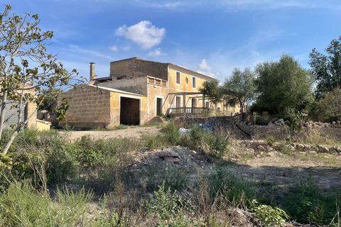 Landejendom i Petra, Mallorca, Petra - € 2.000.000 | Ref: EXP07676/8930 - foto 2