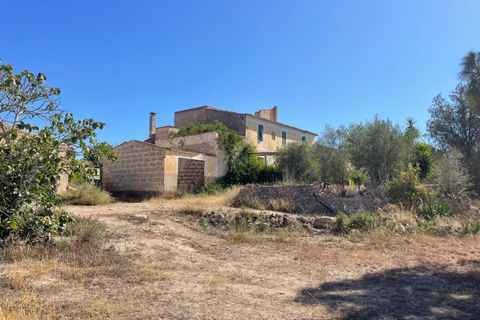Landejendom i Petra, Mallorca, Petra - € 2.000.000 | Ref: EXP07676/8930 - foto 3