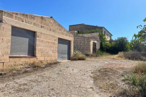 Landejendom i Petra, Mallorca, Petra - € 2.000.000 | Ref: EXP07676/8930 - foto 4