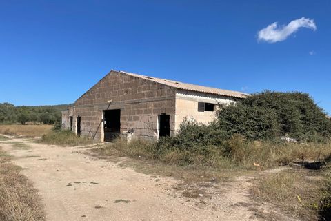 Landejendom i Petra, Mallorca, Petra - € 2.000.000 | Ref: EXP07676/8930 - foto 6
