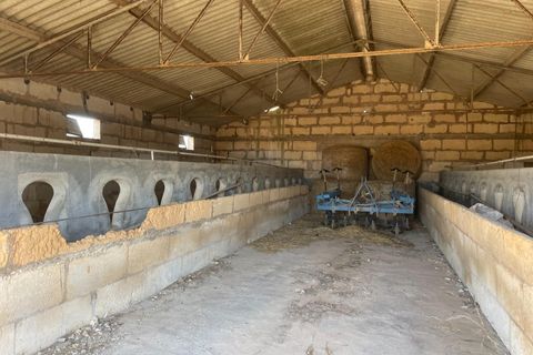 Landejendom i Petra, Mallorca, Petra - € 2.000.000 | Ref: EXP07676/8930 - foto 7