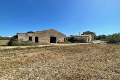 Landejendom i Petra, Mallorca, Petra - € 2.000.000 | Ref: EXP07676/8930 - foto 8