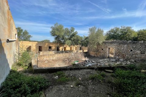 Landejendom i Petra, Mallorca, Petra - € 2.000.000 | Ref: EXP07676/8930 - foto 14