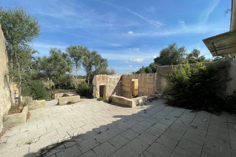 Landejendom i Petra, Mallorca, Petra - € 2.000.000 | Ref: EXP07676/8930 - foto 17