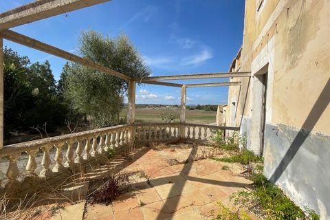 Landejendom i Petra, Mallorca, Petra - € 2.000.000 | Ref: EXP07676/8930 - foto 18