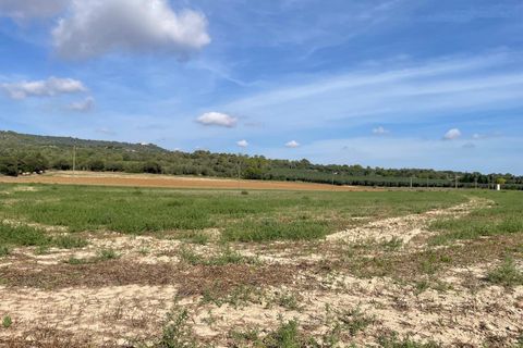 Landejendom i Petra, Mallorca, Petra - € 2.000.000 | Ref: EXP07676/8930 - foto 19