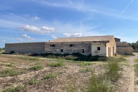 Landejendom i Petra, Mallorca, Petra - € 2.000.000 | Ref: EXP07676/8930 - foto 21