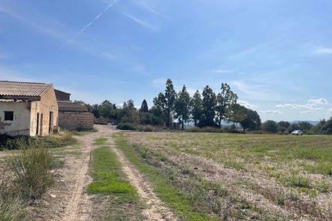 Landejendom i Petra, Mallorca, Petra - € 2.000.000 | Ref: EXP07676/8930 - foto 22