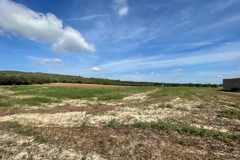 Landejendom i Petra, Mallorca, Petra - € 2.000.000 | Ref: EXP07676/8930 - foto 23
