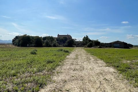 Landejendom i Petra, Mallorca, Petra - € 2.000.000 | Ref: EXP07676/8930 - foto 24