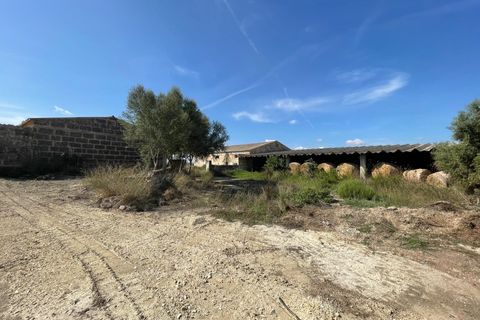 Landejendom i Petra, Mallorca, Petra - € 2.000.000 | Ref: EXP07676/8930 - foto 26